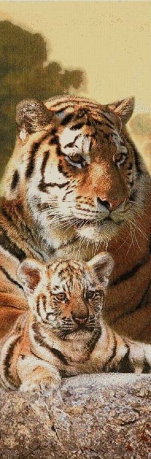 Купоны / Животные и птицы из гобелена - Африка Тигры Купон 35х100 см 1132