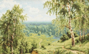 Картины / Пейзаж из гобелена - Березовая долина Картина рама с подрисовкой 50х70 см 3148