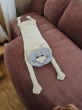 Подушки игрушки из гобелена - Мой котик Подушка Шенил Бежевый/серый 2414125