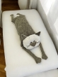 Подушки игрушки из гобелена - Мой котик Подушка Шенил Зеленый/белый 2414241 