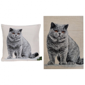 Декоративные наволочки / Кошки из гобелена - Outlet Британская короткошерстная кошка Наволочка 45х45 см 2518731 NEW